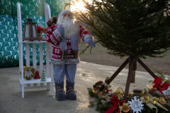 191201-halapi-advent-PL-MJ_1