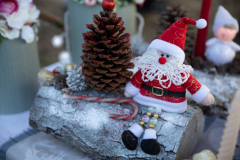 191201-halapi-advent-PL-MJ_77